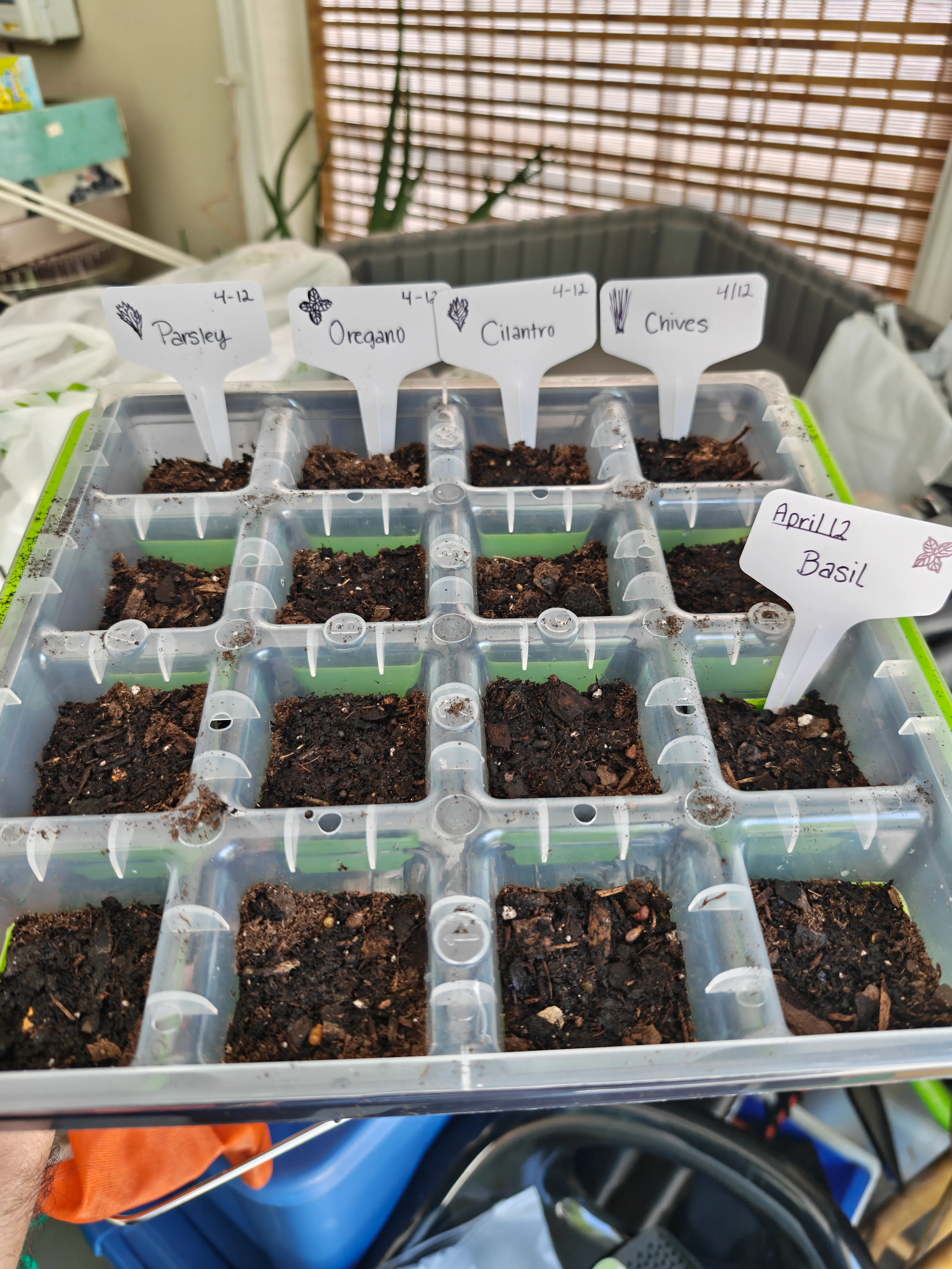 Seed tray with hand-written labels for each herb